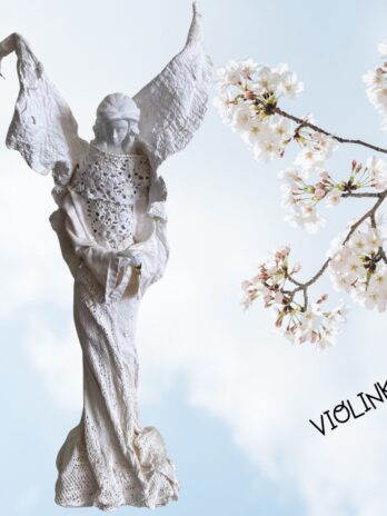 xr:d:DAF34Uy17TM:79,j:8196972327244805632,t:24030806